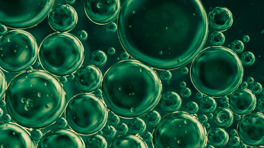 Paraguay liderará la producción de amoníaco verde