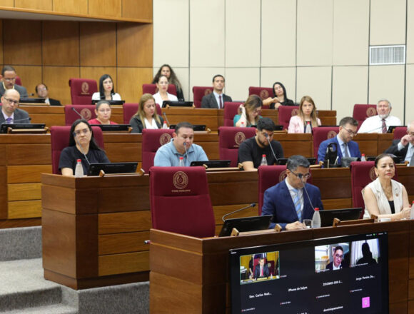 senado Médico denuncia autoaumento como “delincuencia política”