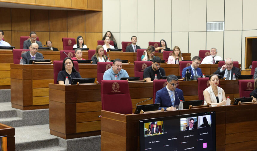 Senado aprueba presupuesto nacional 2025