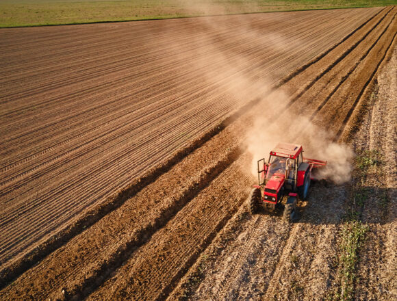 agricul Soja paraguaya cierra zafra con éxito