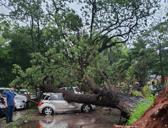 arboles UNA Tormenta derrumba árboles y destruye vehículos en la UNA