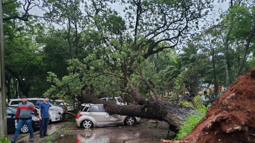 arboles UNA Tormenta derrumba árboles y destruye vehículos en la UNA