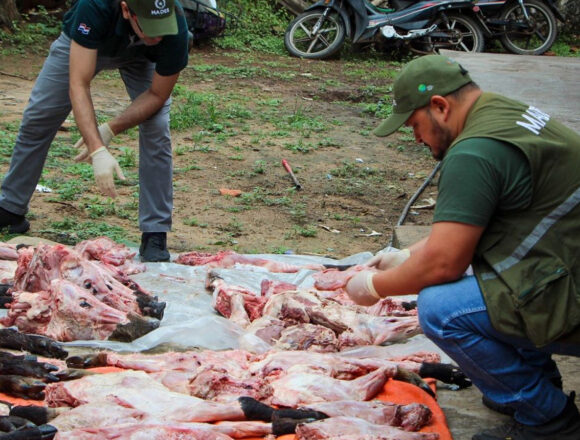 carne Cae grupo con 350 kilos de carne silvestre
