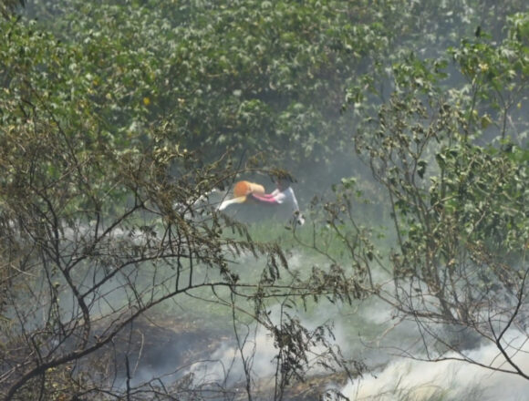 incendio costanera norte Incendio en Costanera de Asunción: Peligro Controlado