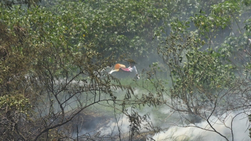 incendio costanera norte Incendio en Costanera de Asunción: Peligro Controlado