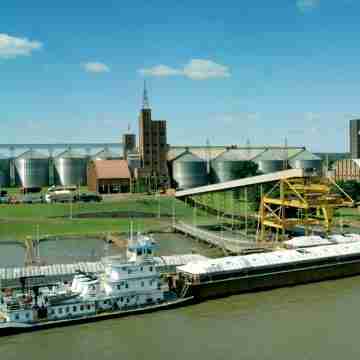 Exportaciones paraguayas crecen y diversifican mercados