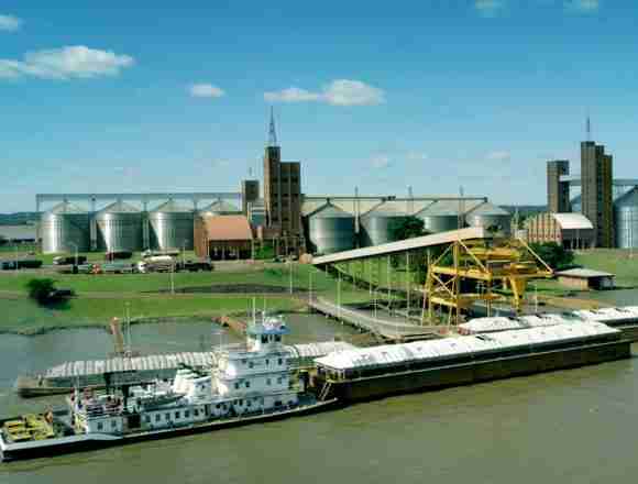 Exportaciones Exportaciones paraguayas crecen y diversifican mercados