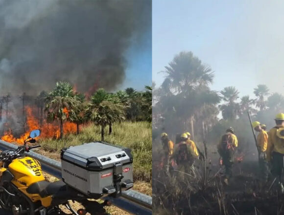 INCENDIO ECOVIA Incendios en la Ecovía devoran 45 hectáreas