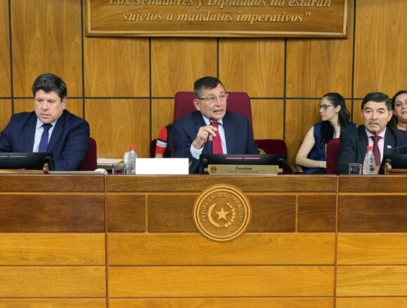 Ing-Pettengill Santiago Peña promulga Ley Mipyme impulsada por el senador Pettengill