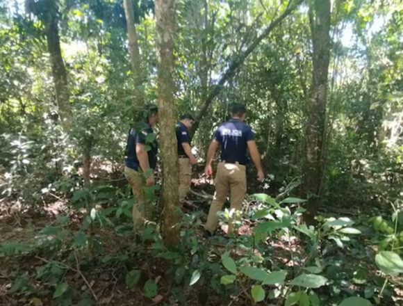 arboll Trágico accidente cobra vida de hombre