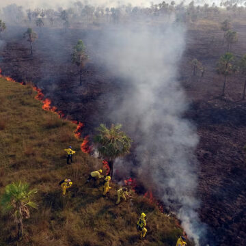incendios forestales Casi 11.000 Hectáreas Afectadas por Incendios