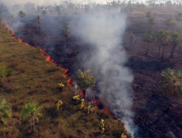 incendios forestales Casi 11.000 Hectáreas Afectadas por Incendios