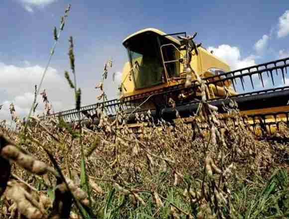 Sequía afecta a pequeños productores de soja
