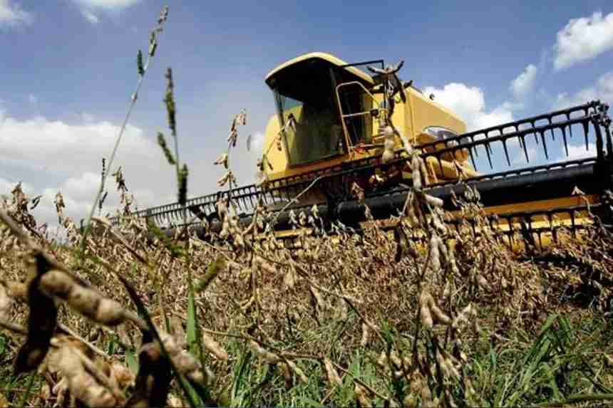 soja py Sequía afecta a pequeños productores de soja