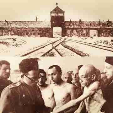 Auschwitz Auschwitz: el genocidio industrial del horror
