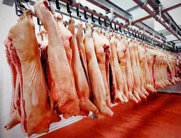 Carne Porcina Taiwán lidera compra de carne porcina paraguaya