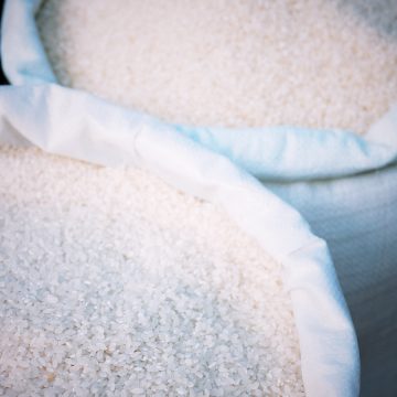 Cosecha de arroz en Paraguay bajo presión