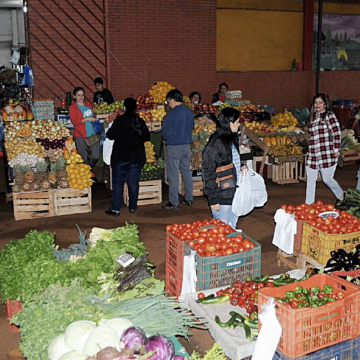 Hortigranjeros temen heladas sin invernaderos