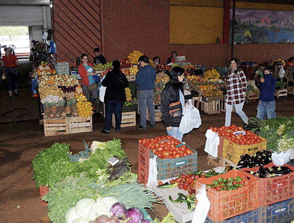 invernaderos Hortigranjeros temen heladas sin invernaderos