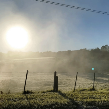Frente frío traerá mínimas de 0°C