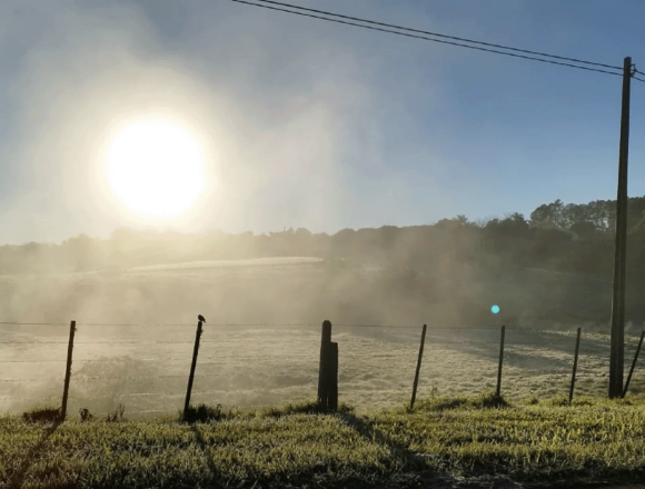 Frente frío traerá mínimas de 0°C