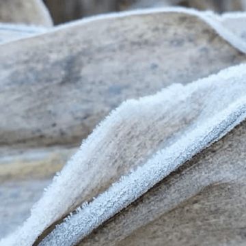 heladas Heladas en Itapúa: daños y beneficios agrícolas