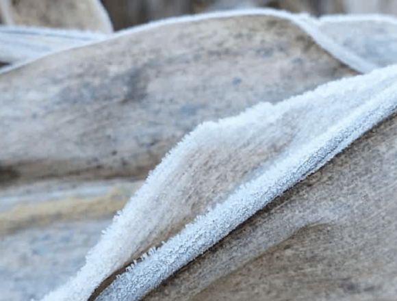 Heladas en Itapúa: daños y beneficios agrícolas