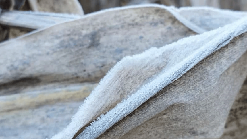 heladas Heladas en Itapúa: daños y beneficios agrícolas