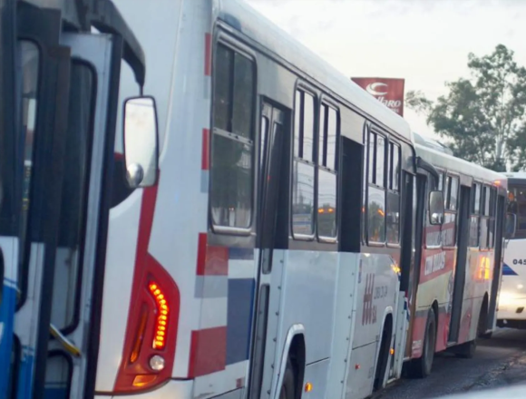 reforma Reforma de transporte buscaría romper monopolio