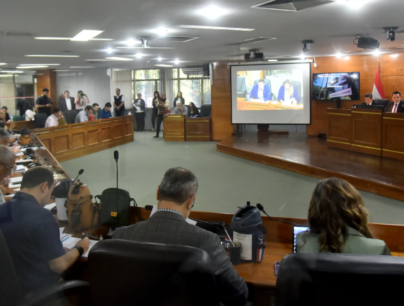 consejales Concejales reclaman informe oculto de Nenecho