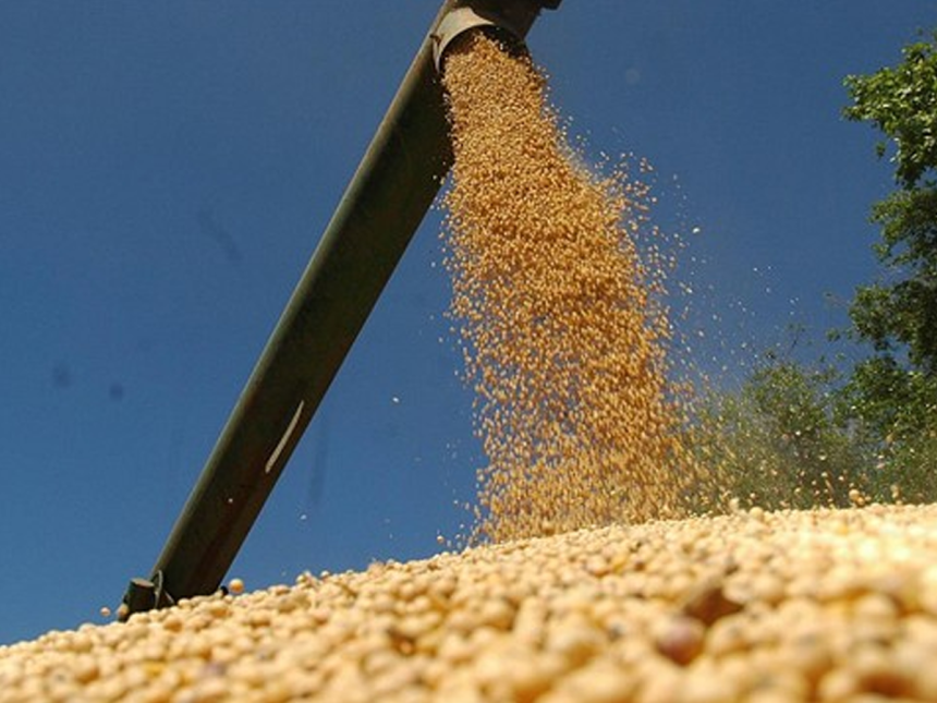zafra Zafra mundial reduciría reservas de soja y maíz