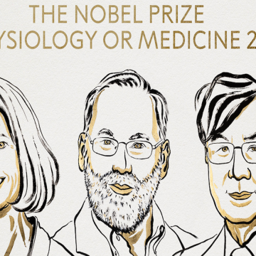 Científicos ganan Nobel por regular inmunidad