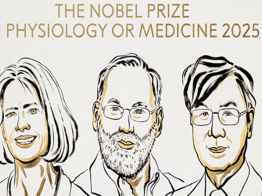Científicos ganan Nobel por regular inmunidad