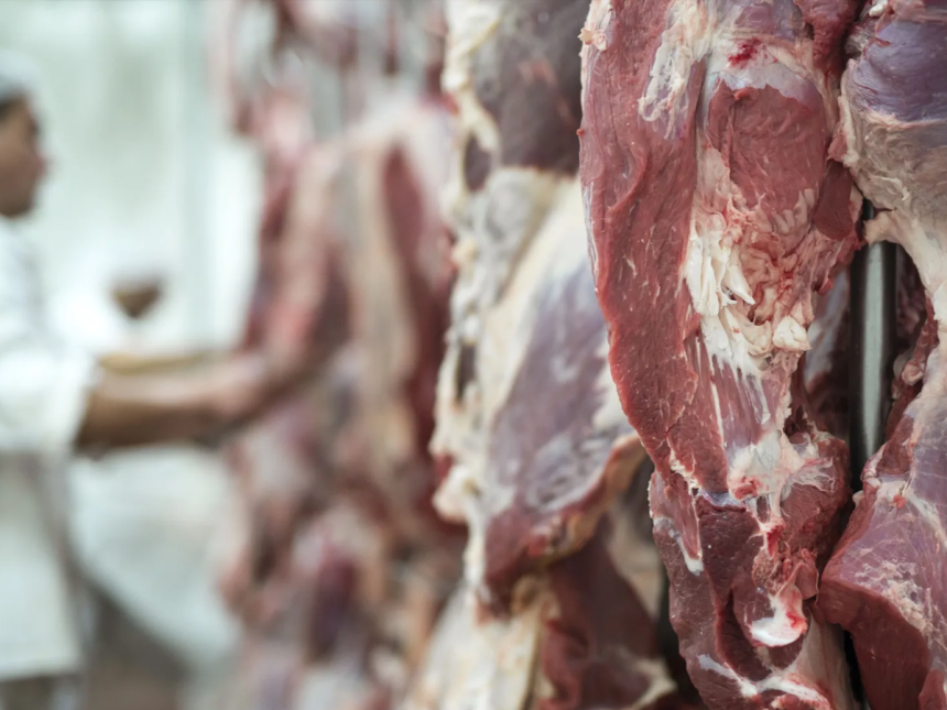 zdiez Diez mercados concentran exportaciones de carne