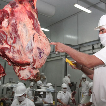 Exportaciones de carne bovina marcan récord